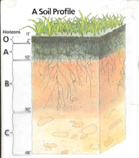خاک / شناخت و اهمیت خاک ها